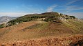DSCN7479