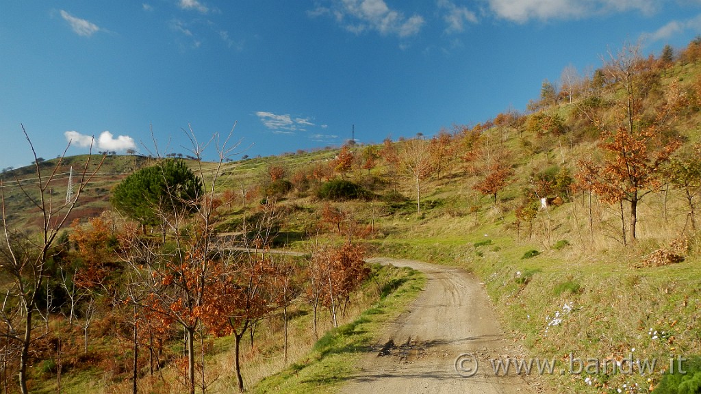DSCN6942.JPG -                                