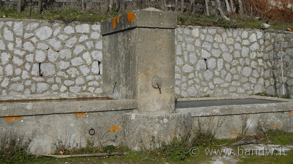 DSCN6974.JPG -                                