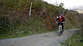 DSCN6941