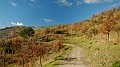 DSCN6942