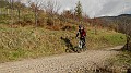 DSCN6943