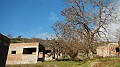 DSCN6949