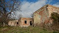 DSCN6950