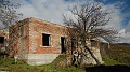 DSCN6951