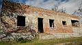 DSCN6953