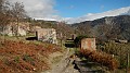 DSCN6958