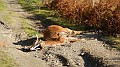 DSCN6959