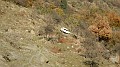 DSCN6960