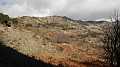 DSCN6961