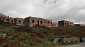 DSCN6976