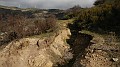 DSCN6979