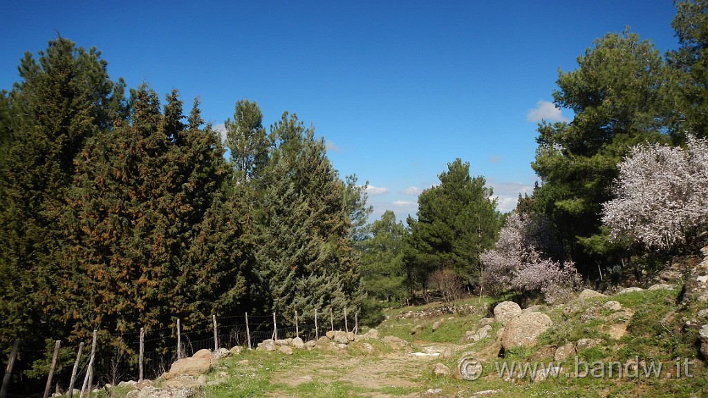 DSCN0082.JPG - Francofonte-Rizzolo-Pisano-Buccheri-Santa Venere