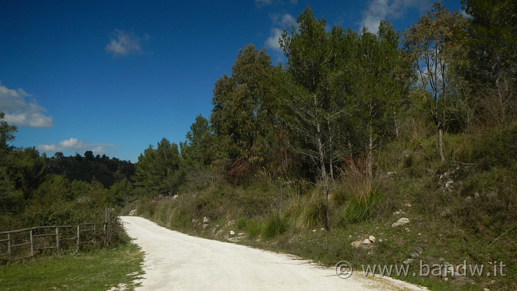 DSCN0099.JPG - Francofonte-Rizzolo-Pisano-Buccheri-Santa Venere