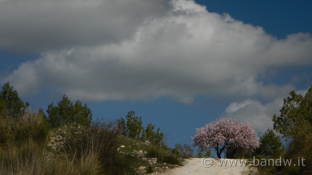 DSCN0102.JPG - Francofonte-Rizzolo-Pisano-Buccheri-Santa Venere