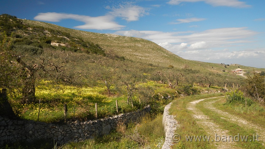 DSCN0106.JPG - Francofonte-Rizzolo-Pisano-Buccheri-Santa Venere