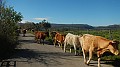 DSCN0015