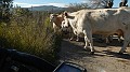 DSCN0017