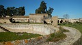 DSCN0020
