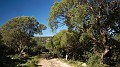 DSCN0026