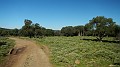DSCN0027