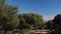 DSCN0029