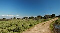 DSCN0030