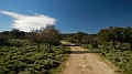 DSCN0034