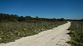 DSCN0042