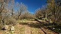 DSCN0052