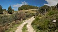 DSCN0080
