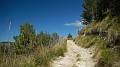 DSCN0081