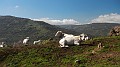 DSCN0084