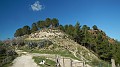 DSCN0085