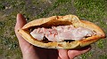 DSCN0093