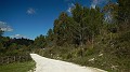 DSCN0099