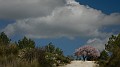 DSCN0102