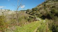 DSCN0105