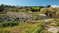 DSCN0109