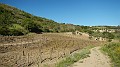 DSCN0776