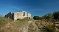 DSCN0777