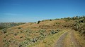 DSCN0784