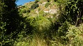 DSCN0788