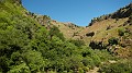 DSCN0791
