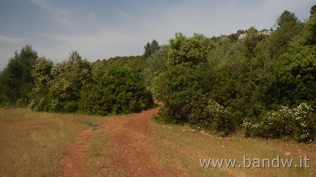 DSCN3271.JPG - GF Terre Ioniche