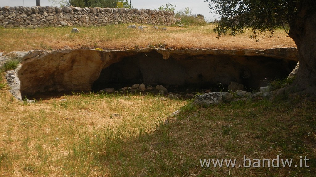 DSCN3312.JPG - GF Terre Ioniche