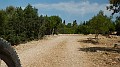 DSCN3274