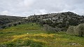DSCN0726