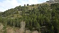 DSCN0731