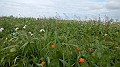 DSCN0743